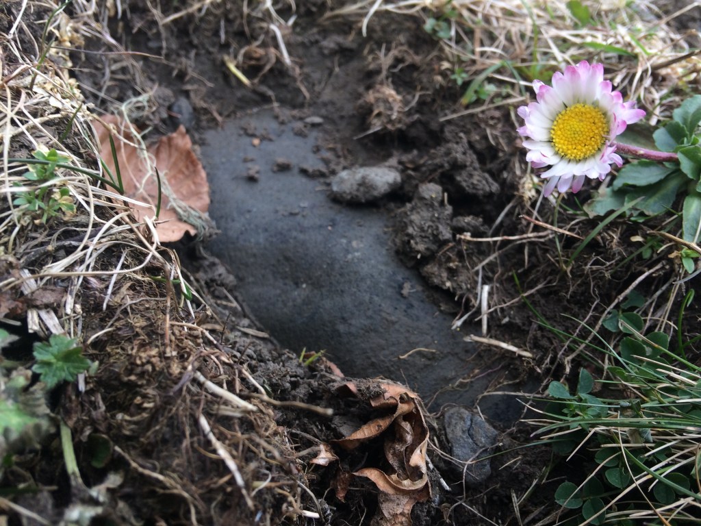 Cette image a un attribut alt vide ; le nom du fichier est img_7073.jpg